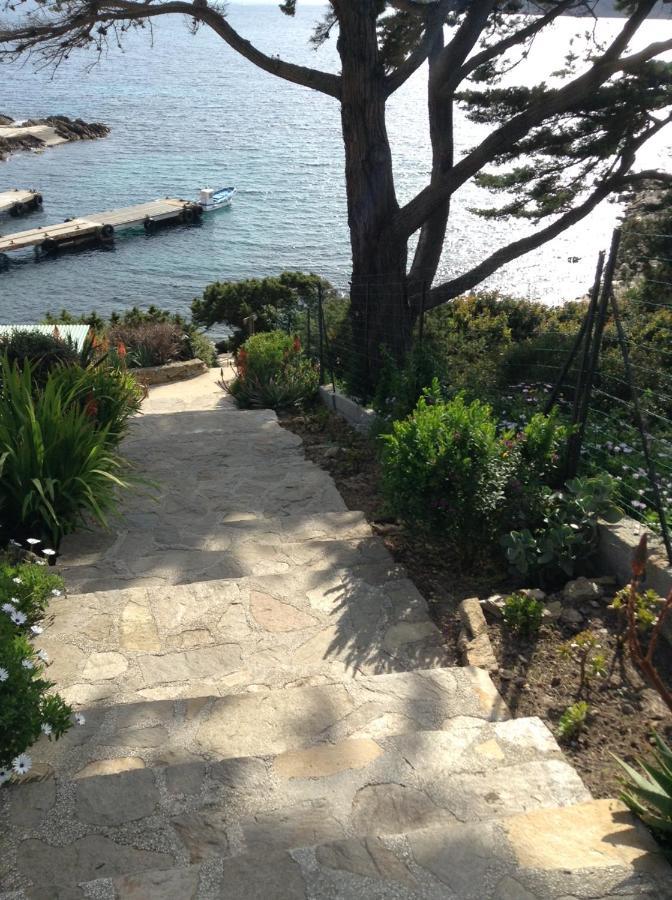 Villa Mirabel Île du Levant Exteriör bild