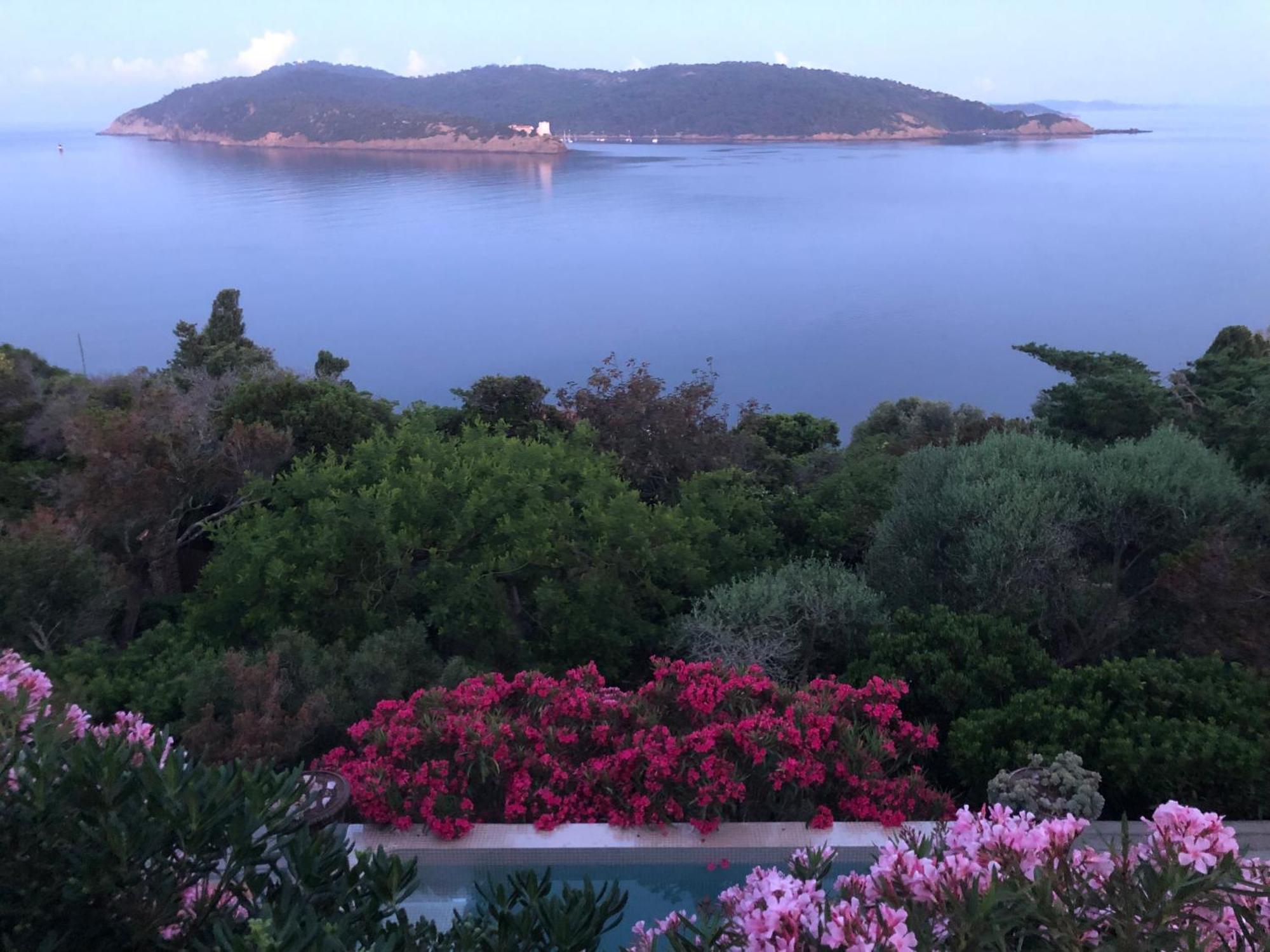 Villa Mirabel Île du Levant Exteriör bild